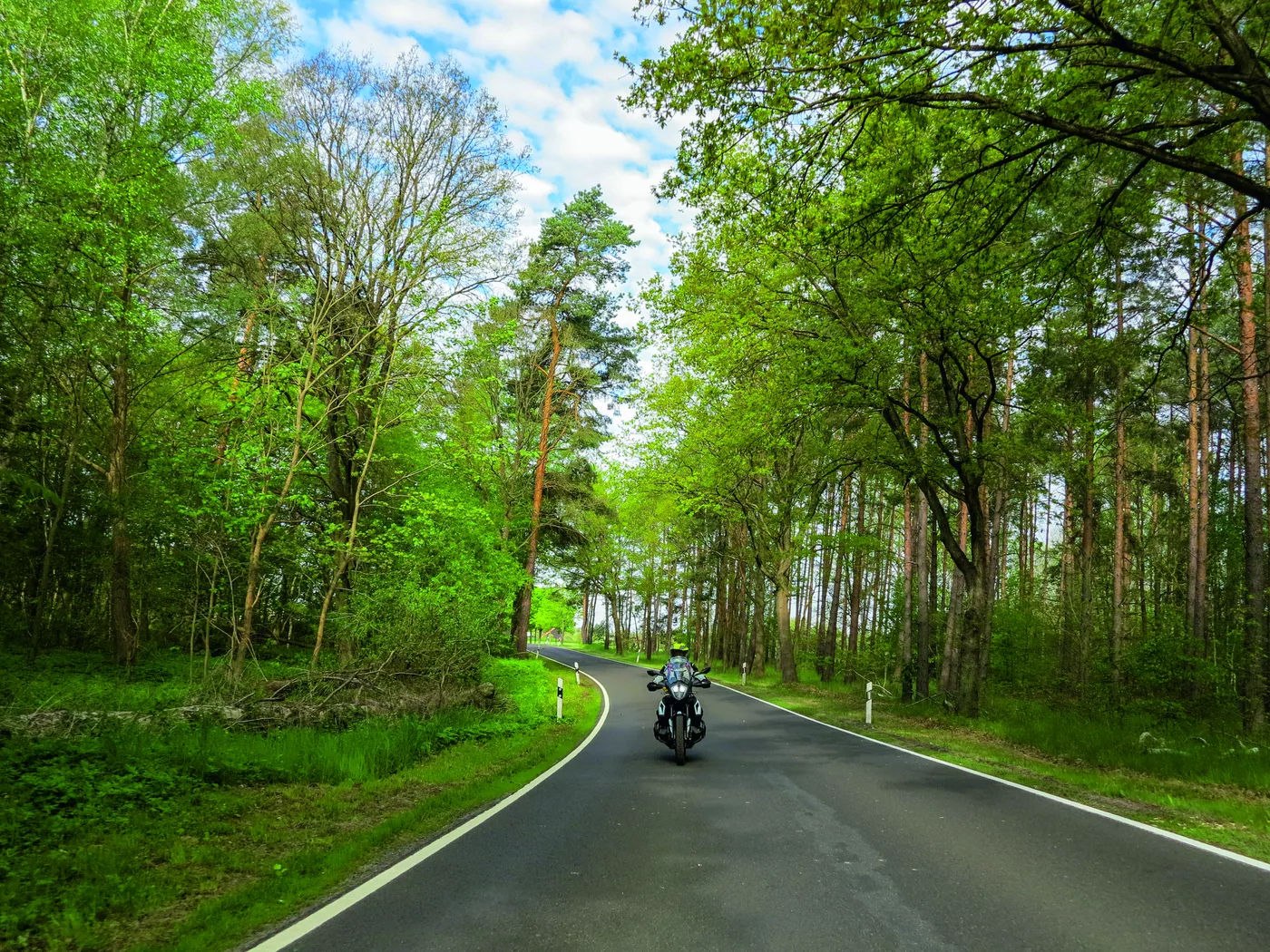 Motorrad auf einer von hohen Bäumen gesäumten Landstraße