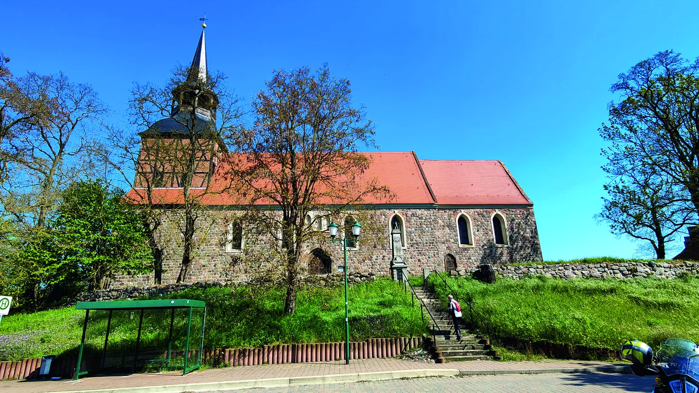 Dorfkirche aus Feldstein auf einer Anhöhe hinter alten Bäumen